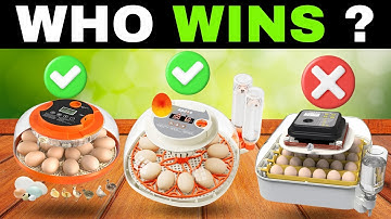 ✅ TOP 7 Best Egg Incubators for Chickens [2025] 🐣 Automatic & Affordable Amazon Picks for Beginners