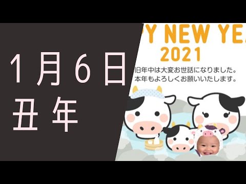 【１月６日】今日は何の日？丑年①「丑年とは？？」/雑学