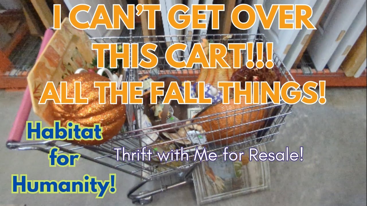 I CAN'T GET OVER THIS CART!!! ALL THE FALL THINGS! Habitat for Humanity Thrift with me! Large haul!