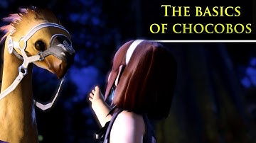 How to get a mount? How to make it fight? - FFXIV quick guide