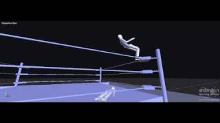 Endorphin Moonsault