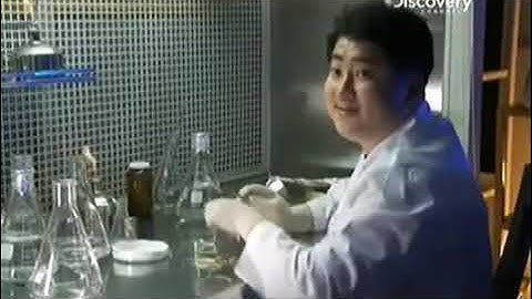 Discover đưa tin về công nghệ nhân bản tế bào gốc nhân sâm 50 năm tuổi