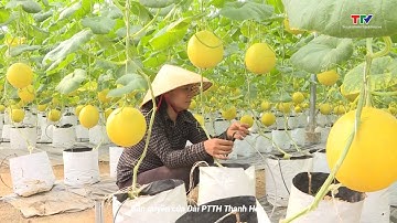 Khoa học và Công nghệ: Ứng dụng KHKT góp phần nâng cao hiệu quả của các HTX nông nghiệp