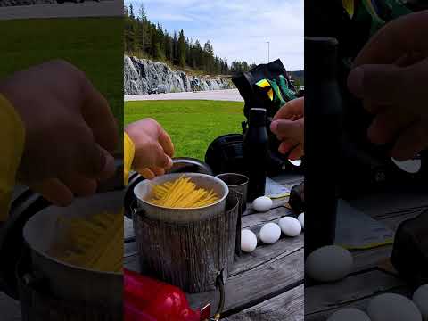 ATAQUE DE URSO NA NORUEGA?