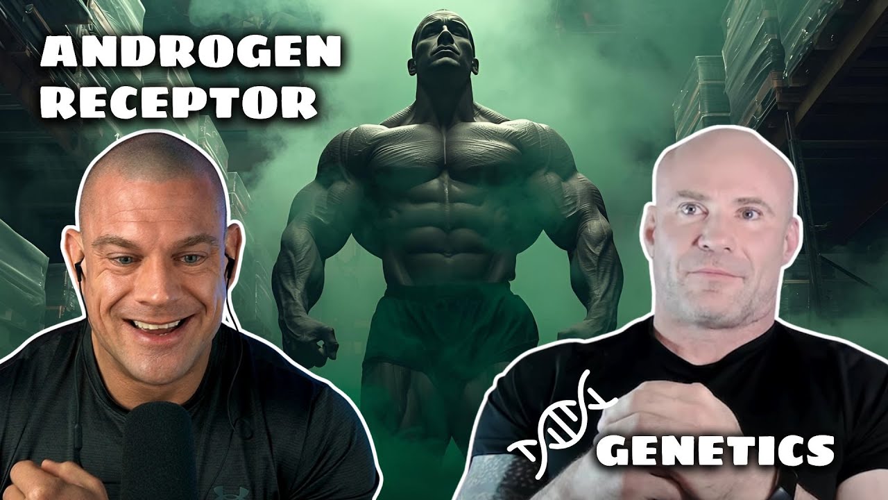 Androgen Receptor Sensitivity, And Why Some People Get Huge So Easily