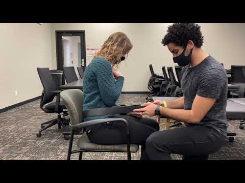 Postural Assessment Scale for Stroke Patients (PASS)