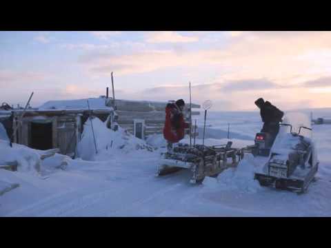 Как добыват деликатесную рыбу чир муксун омуль и т.п.