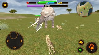 Cheetah Game - Clan of Cheetahs - Wild Cheetah Sim 3d screenshot 4