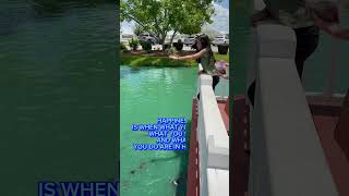 Motivation/happiness #shorts #short #quotes #success #dream #motivationalvideo #happiness #tiktok