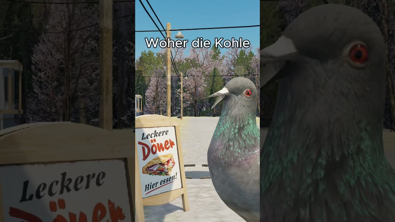 german brainrot taube