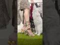 Elegant Girls High Heels 👠|Stylish &amp; Luxury Heel Designs for Fashion Lovers#viral#heels#girl#foryou