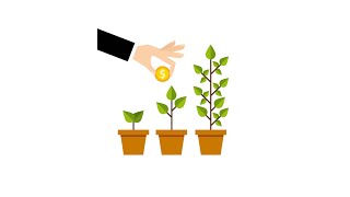 How to Track Your Net Worth Automatically Profile