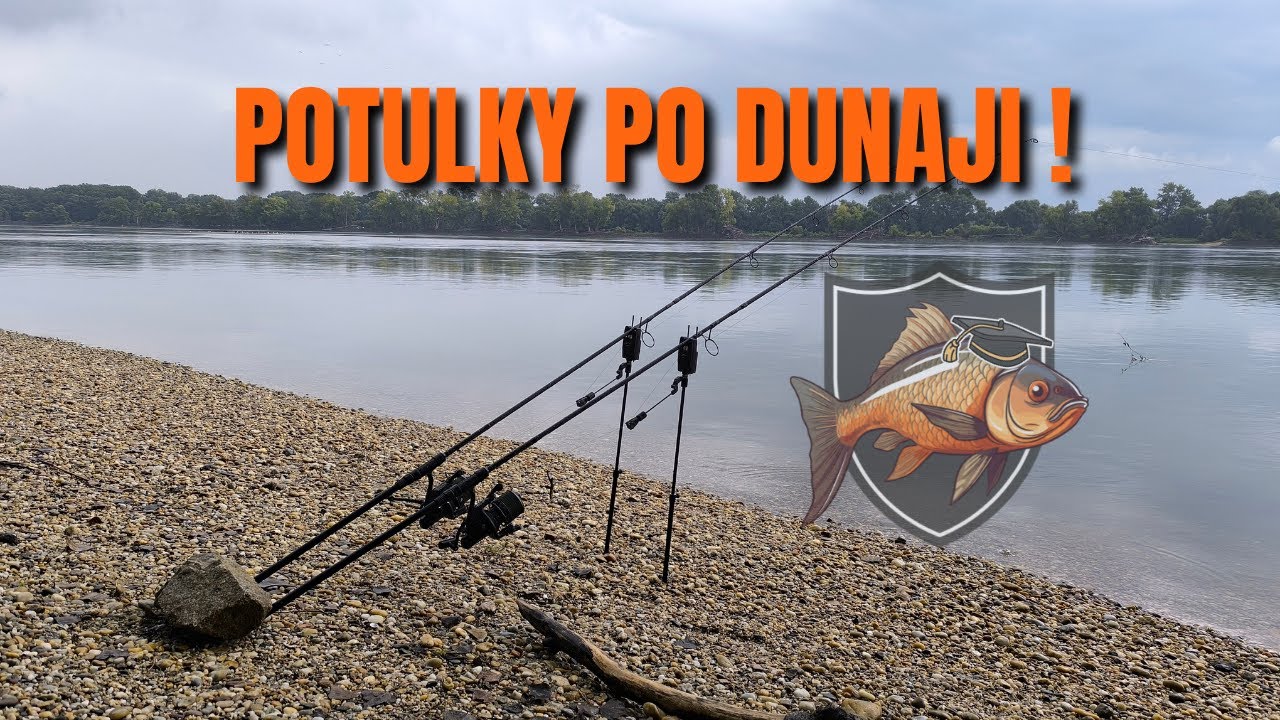 POTULKY PO DUNAJI A SNAHA OKLAMAŤ PORIADNÉHO KAPRA (HĽADANIE MIESTA, LOV KAPRA NA BOILIES NA DUNAJI)