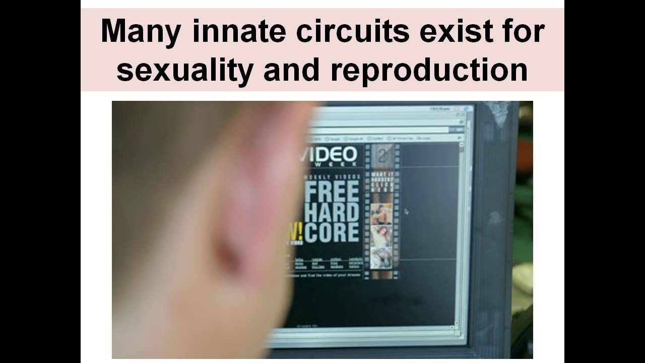 youtube porno it