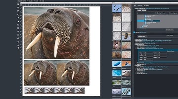 IMAGEPRINT by Colorbyte Software with John Pannozzo Part 2 of 2