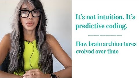 How brain architectures evolved over time and what AI systems can learn to integrate.