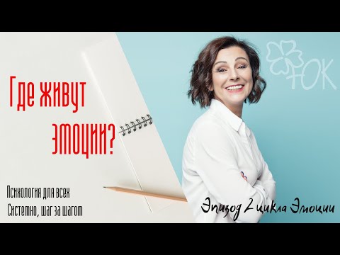 Где живут эмоции Эпизод 2 цикла Мои эмоции Где живут эмоции Эпизод 2 цикла Мои эмоции