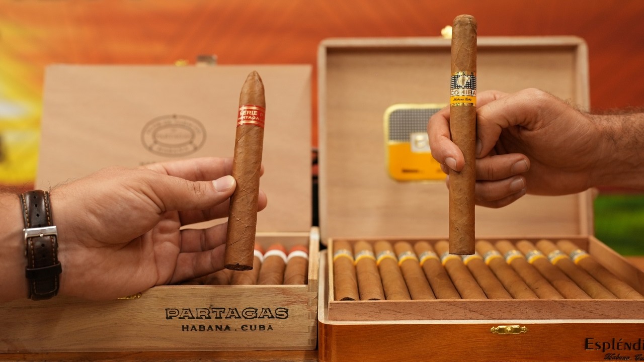 Why Are Cuban Cigars So Expensive And How Do You Know If They Are Real?