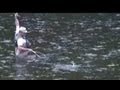 Catskill Fly Fishing New York　科釣研