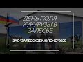 День поля кукурузы в Залесье.2020