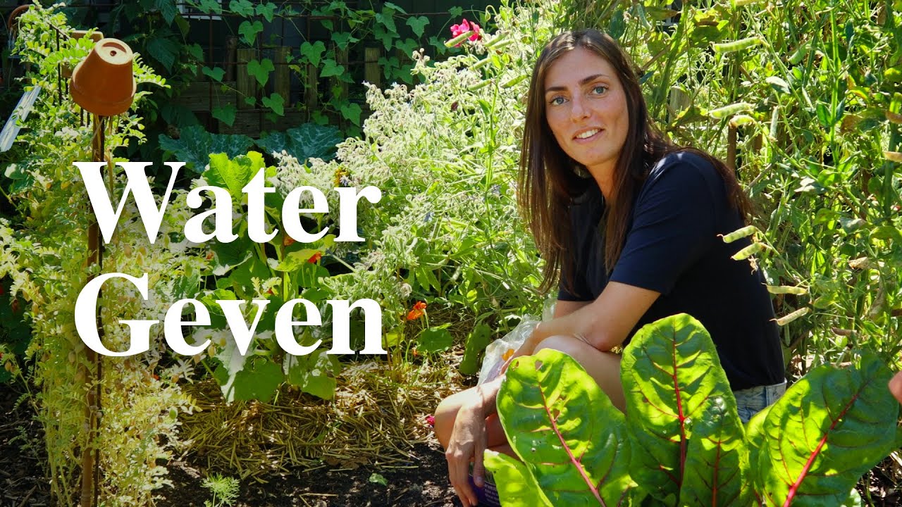 Zo geef je het beste water aan je planten in de moestuin | Floor Korte - Floors Moestuin