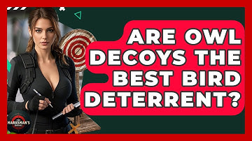 Are Owl Decoys The Best Bird Deterrent? - The Marksman