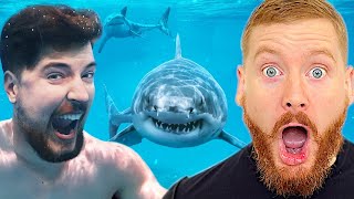 Would You Swim With Sharks For $100,000 Reaction