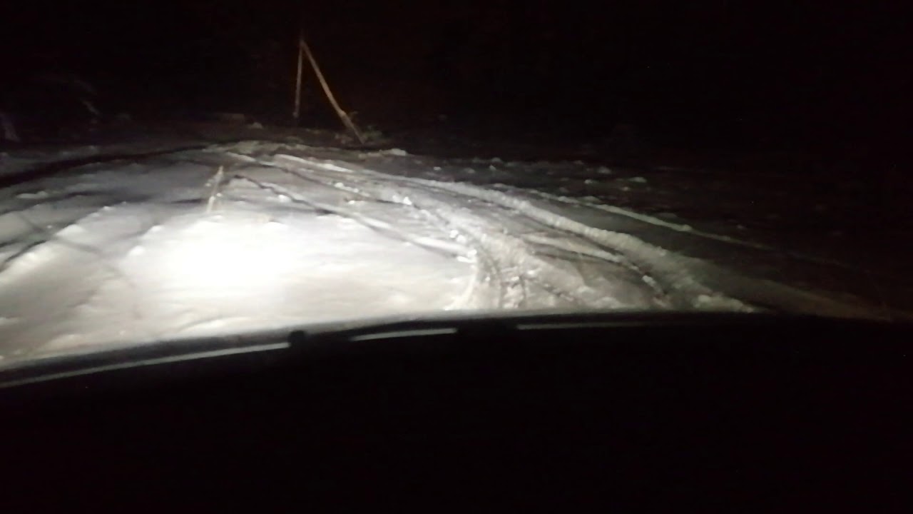 Ночь и лес - YouTube