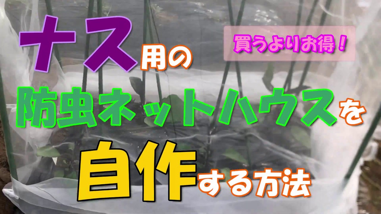 はじめての家庭菜園 初心者がナスの防虫ネットハウスを安く自作してみた Youtube はじめての家庭菜園 初心者がナスの防虫ネットハウスを安く自作してみた Youtube