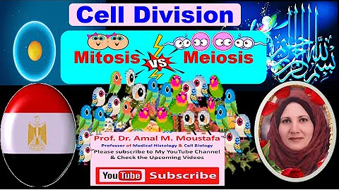 Cell Cycle,  Cell division , Mitosis Vs Meiosis  D...