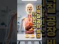 매일 '달걀' 2개씩 먹었더니... 14일 뒤 근육과 뇌의 기막힌 변화