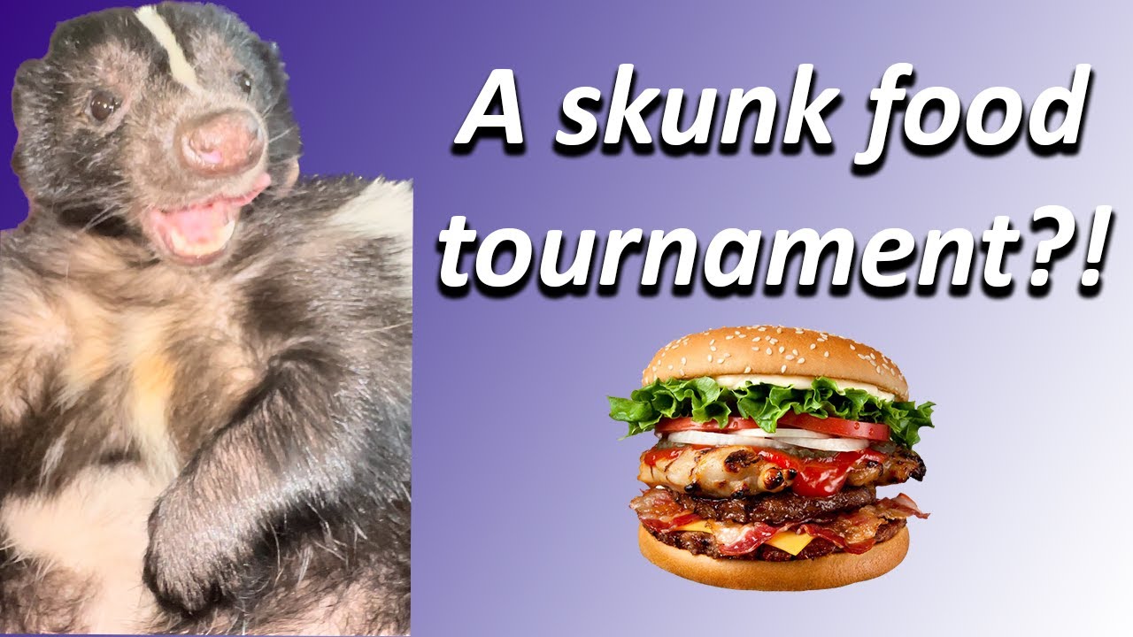 Atari the Skunk's Favorite Food Tournament 2022!