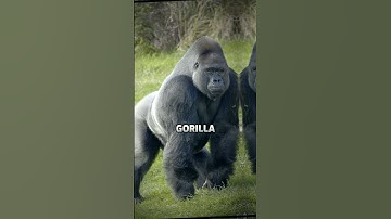 Animals that will be extinct by 2050 🥺 | #shorts #animals #trending