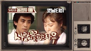 사랑이 꽃피는 나무 1기 - 13회 올챙이들 (1987/08/04)