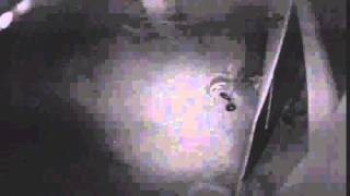 Orbs In My Backyard Caught On Security Camera 1
