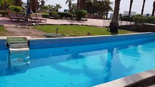 Египет 2019 Территория отеля Джоли Вили Гольф JOLIE VILLE GOLF RESORT 5 Часть 1