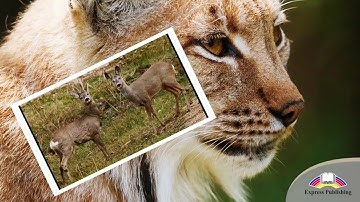 EXCEL 8 Module 6 Nature reserves around the World