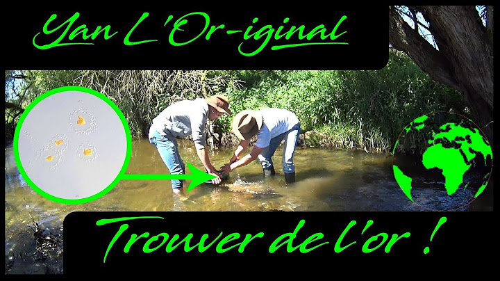 J'ai trouvé de l'or dans les rivières belges ! (orpaillage)