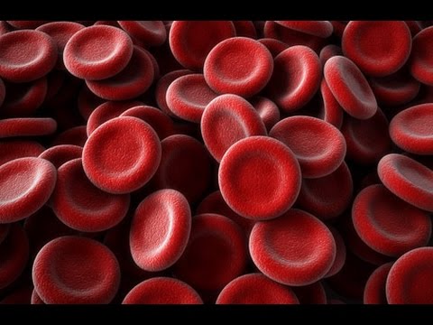 וִידֵאוֹ: בדיקת דם לפריטין ומה המשמעות של נשים וגברים