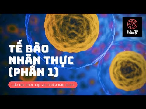 Video: Loại tế bào nào có ribôxôm và màng tế bào?