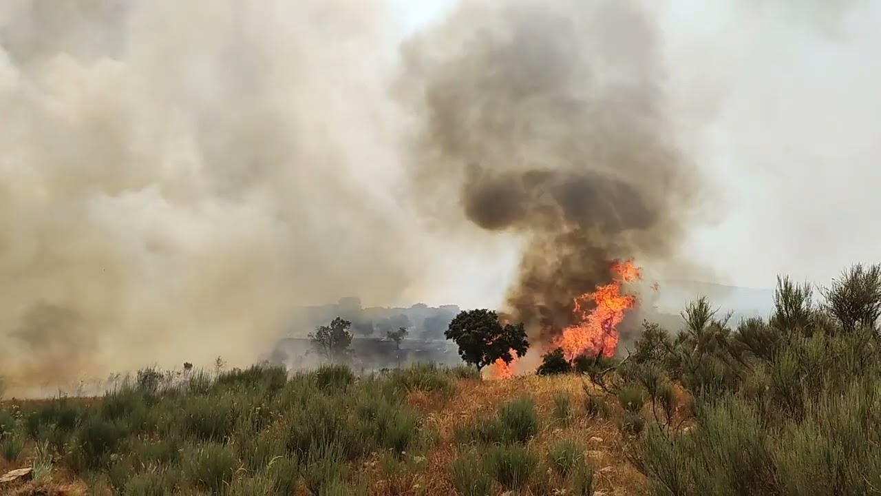 Incendio en Morasverdes y Guadapero