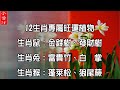 【轉運妙招】12生肖專屬旺運綠植，生肖鼠：金錢樹，生肖兔：富貴竹……你養對了嗎？