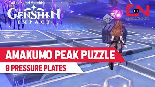 Amakumo Peak Puzzle - 9 Pressure Plates | Genshin Impact - Impact How to Solve