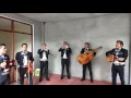 Caminos de Michoacan, Mariachi los Diamantes