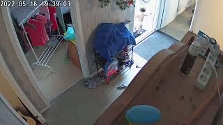 Baby Running Away From Mom Caugh On Cam