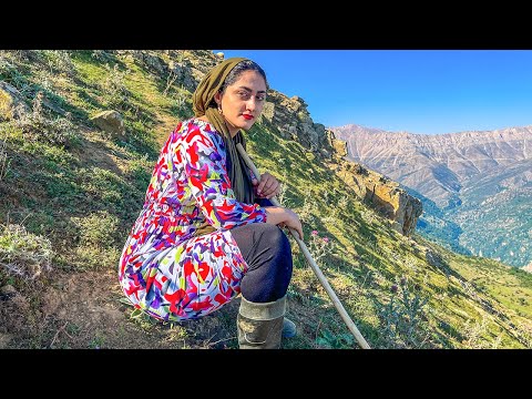 IRAN nomadic life |daily routine village life of Iran | Nomadic lifestyle of Iran