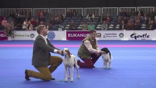 Best Working Dog - Amsterdam Winner Show 2015 by EukanubaEurope 2,381 views 8 years ago 15 minutes