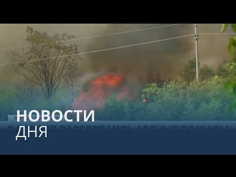 Новости дня | 23 июль — вечерний выпуск