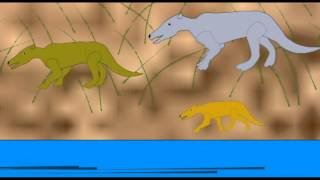 WHALE EVOLUTION: PAKICETUS.avi