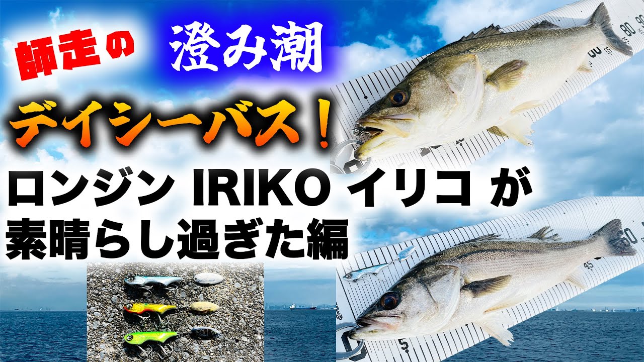 師走の澄み潮デイシーバス！ - ロンジン IRIKO イリコが素晴らし過ぎた！ブレードルアー革命編 - 冬 シーバス